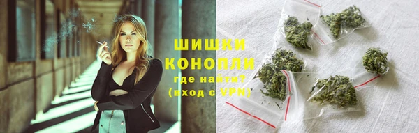 apvp Заводоуковск