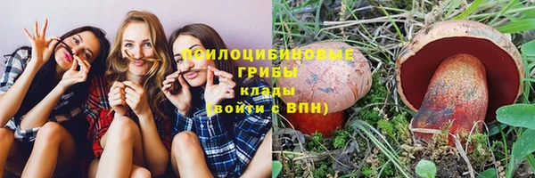 прущие крисы Заволжск
