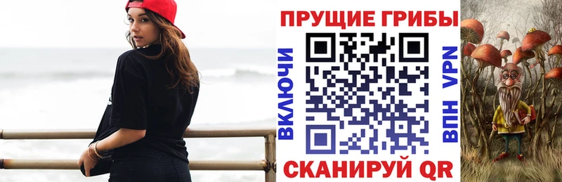 Галлюциногенные грибы прущие грибы  Онега 